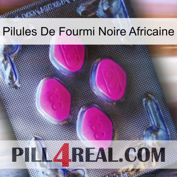 African Black Ant Pills 02.jpg